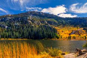Sotcher Lake-4937.jpg